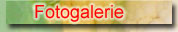 Galerie